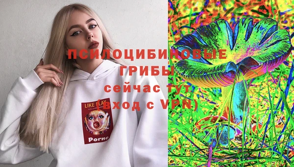 каннабис Аркадак