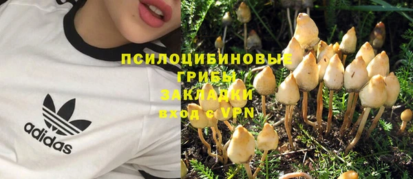 прущая мука Арсеньев