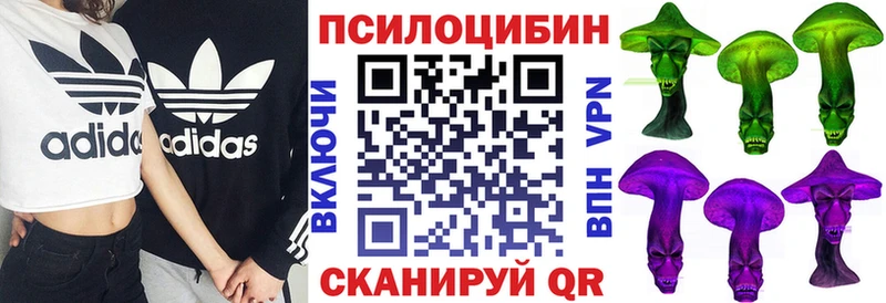kraken онион  Юрьевец  Галлюциногенные грибы Cubensis  дарнет шоп 